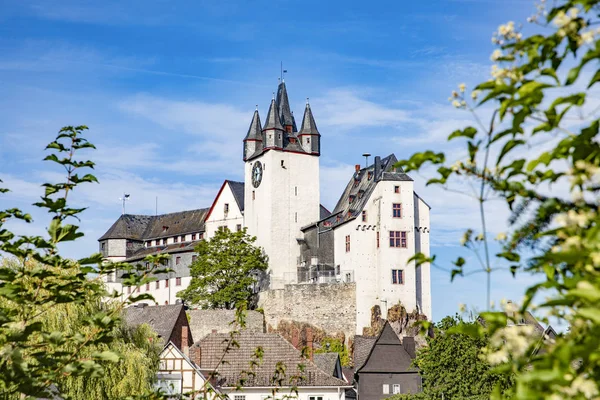 Blick auf die Burg Diez mit Baum im Vordergrund — Stockfoto