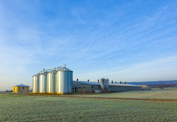 Campo em colheita com silo — Fotografia de Stock