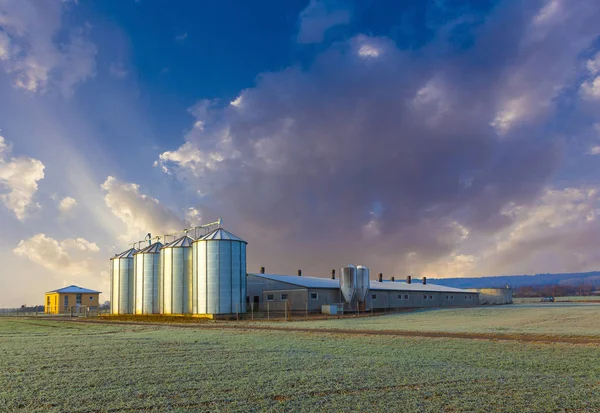 Campo en cosecha con silo — Foto de Stock
