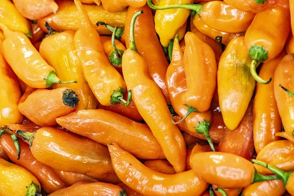 Orange pepperonis op de levensmiddelenmarkt — Stockfoto