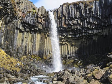 Svartifoss Black Şelalesi, Skaftafell Milli Parkı (Izlanda)