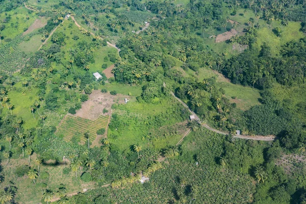 Mezőgazdaság légi a dzsungelben a Dominikai Közösség — Stock Fotó