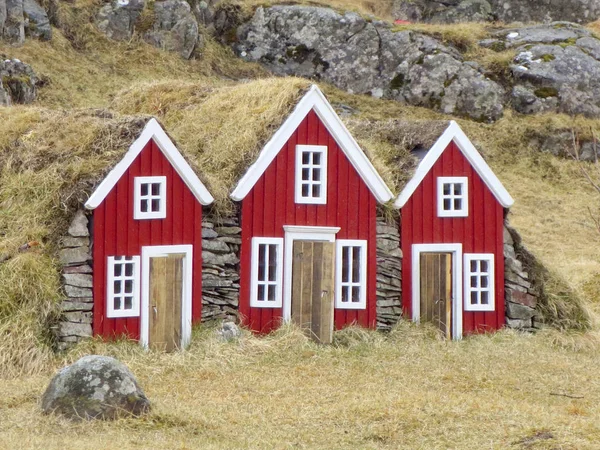 Typical with moss covered roof of a house in Iceland for isolati — Stock Photo, Image