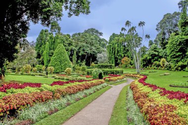 Peradeniya Botanik Bahçesi