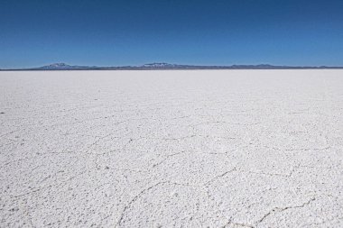  Isla Incahuasi Salar de Uyuni at 