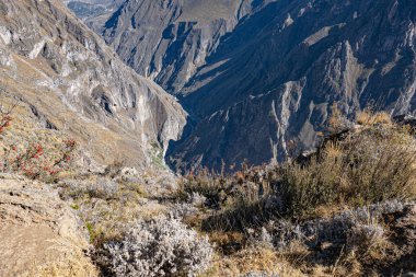  muhteşem görünümü ile Peru Colca Kanyon zirvesi