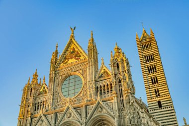  Beyaz ve Mavi ve Gri ile Siena İtalya Toskana Katedrali 