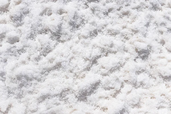 在乌尤尼萨拉尔印加瓦西的盐的细节 — 图库照片