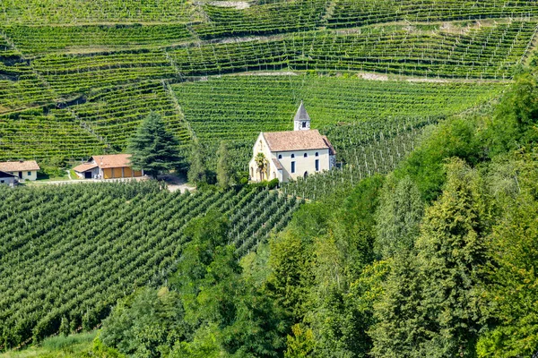 Scenic small church in Merano in the apple fields — Stock Photo, Image