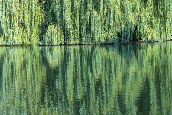 シェーンブッシュ庭園の風光明媚な風景 — ストック写真