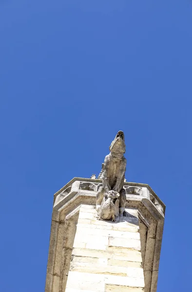 Gargoyle på Regensburg Cathedral St Peter, Tyskland — Stockfoto