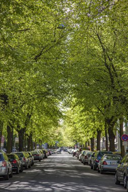 Wiesbaden şehir merkezinin manzaralı manzarası. Wiesbaden ile 