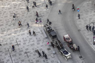 Viyana 'daki Stephans' ın Fiaker 'ı. Turistlerin gelmesini bekleyin.