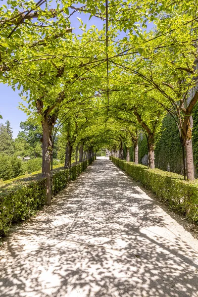 Landscape with Alley Park in the Wurzburg Residence, Bavaria — Stock Photo, Image