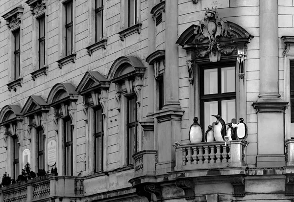 Pingwiny marionetki na starym balkonie patrzeć w dół ti ulicy w Vie — Zdjęcie stockowe