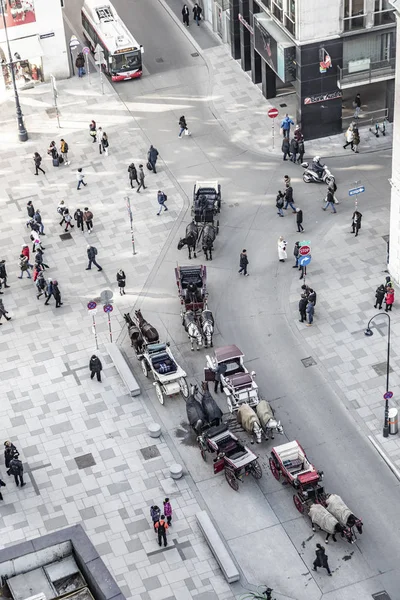 Fiaker a Stephans Place Bécsben várja a turistákat, hogy egy c — Stock Fotó