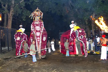 Festivale mahoutlu süslü filler katılıyor