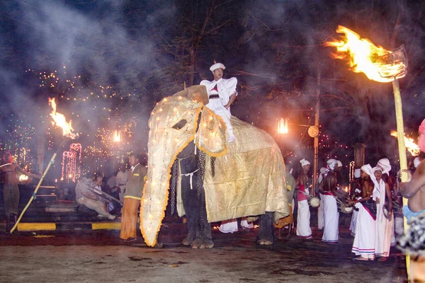 Decorated elephants with mahouts participate at the festival Per — ストック写真