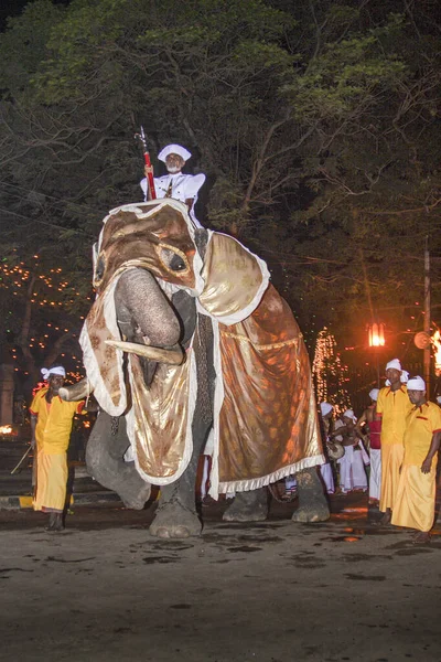 Dekorerade elefanter med mahouts deltar på festivalen Per — Stockfoto