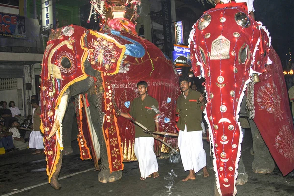 Elephant Riders deltar i festivalen Pera Hera i Kandy — Stockfoto