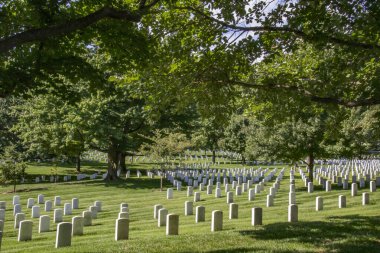 arlington Ulusal Mezarlığı'mezar taşı