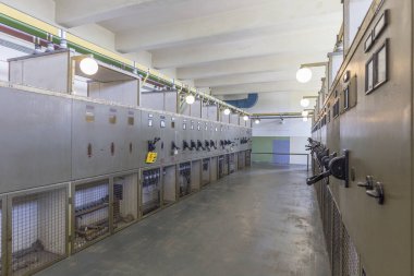 Peenemuen 'deki eski terk edilmiş kömür santralinin kontrol panosu.