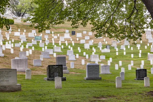 Lapidi al cimitero nazionale di Arlington — Foto Stock