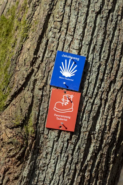 Panneau à un arbre montre la direction de la voie Saint-Jacques et le taub — Photo