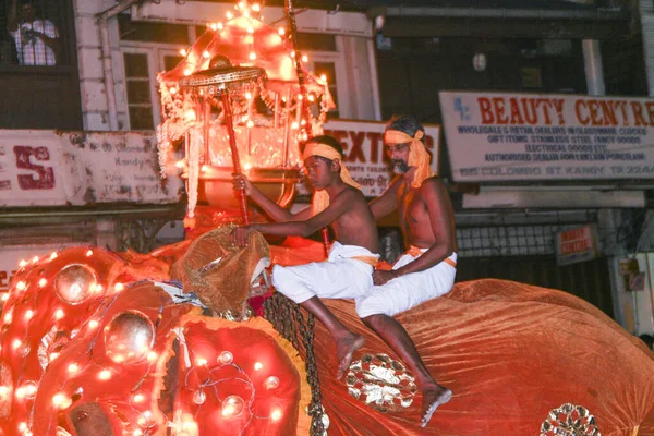 Elephants participate the festival Pera Hera in Candy to celebra — Stockfoto