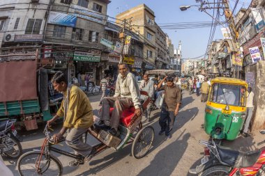Adam eski Delhi 'de yük ve çekçekçekli insanlar taşıyor.