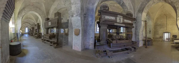 Gamla vineriet i Eberbach. Klostret är ett före detta cistercianskt kloster. — Stockfoto