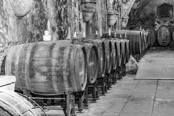 Gamla vineriet i Eberbach. Klostret är ett före detta cistercianskt kloster. — Stockfoto