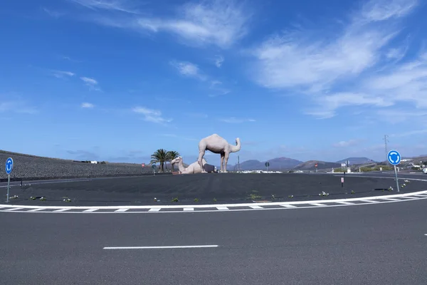 Estátua de camelos em uma rotunda perto de Yaiza, Lanzarote — Fotografia de Stock