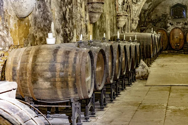 Gamla vineriet i Eberbach. Klostret är ett före detta cistercianskt kloster. — Stockfoto