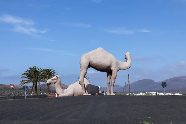 Statue de chameaux à un rond-point près de Yaiza, Lanzarote — Photo
