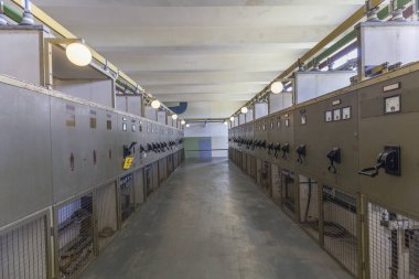 Peenemuen 'deki eski terk edilmiş kömür santralinin kontrol panosu.