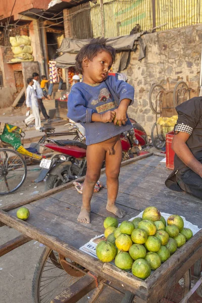 Young child stands on the wooden cart of his family while the fa — Stock Photo, Image