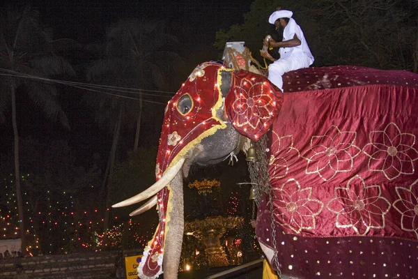 Διακοσμημένοι ελέφαντες με mahouts συμμετέχουν στο φεστιβάλ Per — Φωτογραφία Αρχείου