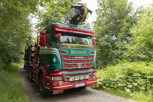 Truck with loaded trees transports wood from the forest — ストック写真