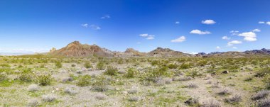 landscape of Route 66 near Oatman clipart