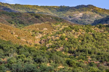 Sequoia national Park nehir Kaweah ile manzara