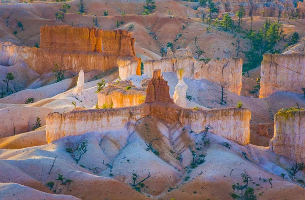 Beautiful landscape in Bryce Canyon — Stock Photo, Image