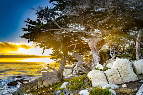 Pôr do sol na costa perto de Point Lobos , — Fotografia de Stock