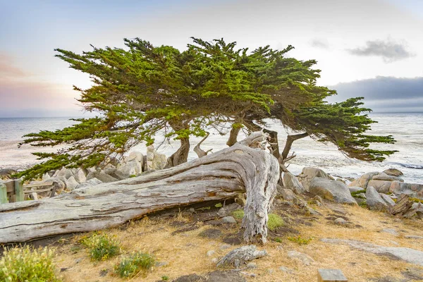 Coucher de soleil sur la côte près de Point Lobos , — Photo