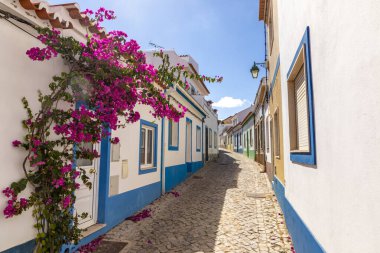 Algarve bölgesinde Ferragudo 'nun eski balıkçı köyünde çiçek açan bougainvillea ile küçük bir kaldırım taşı yolu.
