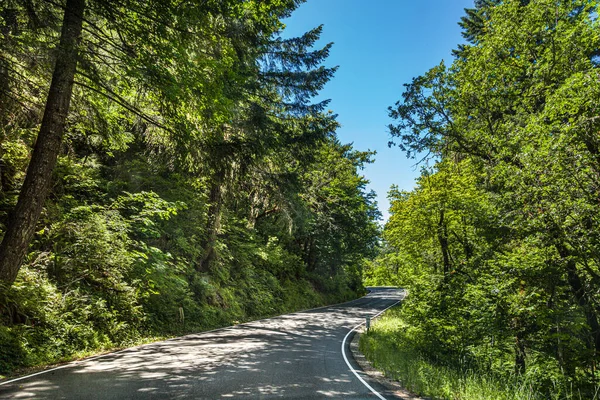 Driving Beautiful Forest Nature South Fork Mountains Usa — Stock Photo, Image