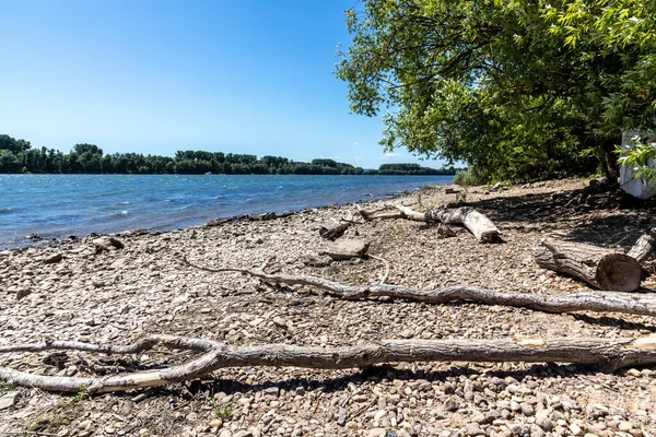 Panorámás Rajna Táj Zárt Stranddal Koronavírus Miatt — Stock Fotó