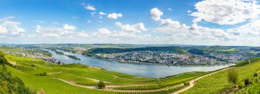 Rudesheim, Almanya 'da üzüm bağlarıyla Ren Vadisi manzarası