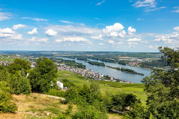 Widok Lotu Ptaka Malownicze Winnice Ruedesheim Niemcy — Zdjęcie stockowe