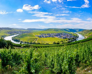 Manzaralı Moselle nehir döngüsü Leiwen, Trittenheim, Almanya